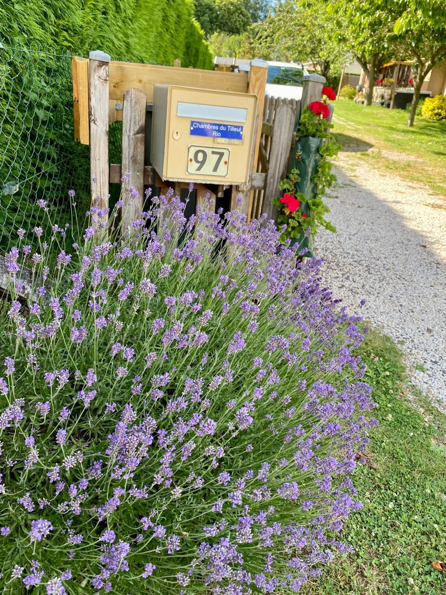 Chambres Tout Confort Du Tilleul Bosc-Benard-Commin Zewnętrze zdjęcie